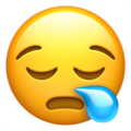 Apple 😪 Snoring Emoji