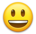 LG😃 Big Smile Emoji