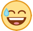 HTC 😅 Sweat Emoji