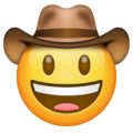 Whatsapp 🤠 Cowboy Emoji