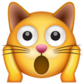 Whatsapp 🙀 Shocked Cat Emoji