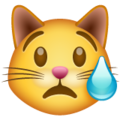 Whatsapp 😿 Crying Cat Emoji