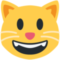 Twitter 😺 Smiley Cat Emoji
