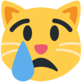 Twitter 😿 Crying Cat Emoji