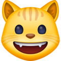 Facebook 😺 Smiley Cat Emoji