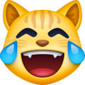 Facebook 😹 Cat Laughing Emoji