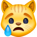 Facebook 😿 Crying Cat Emoji